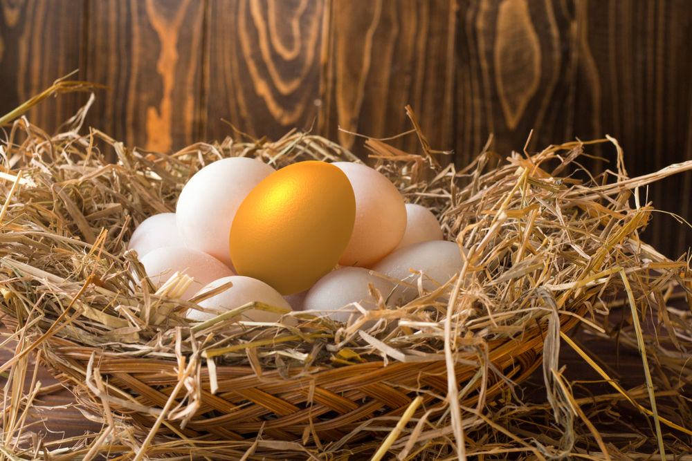 Contract-management-data-medium